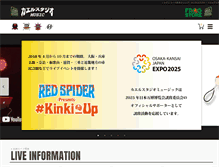 Tablet Screenshot of kaeru-studio.com